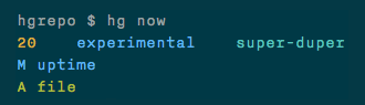 Image of the output of hg now when there are changes in the working directory.